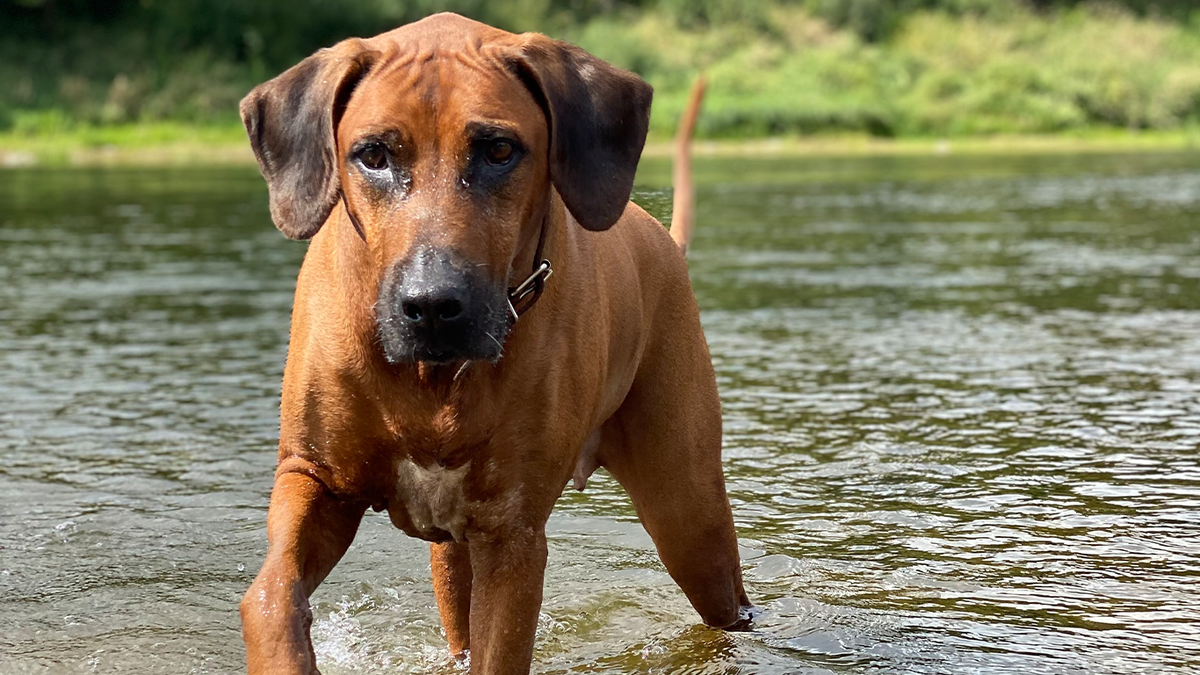 Не все мы плаваем. Я вот в 8 лет поплыла. И чего раньше воду только пила? Кайф ведь.