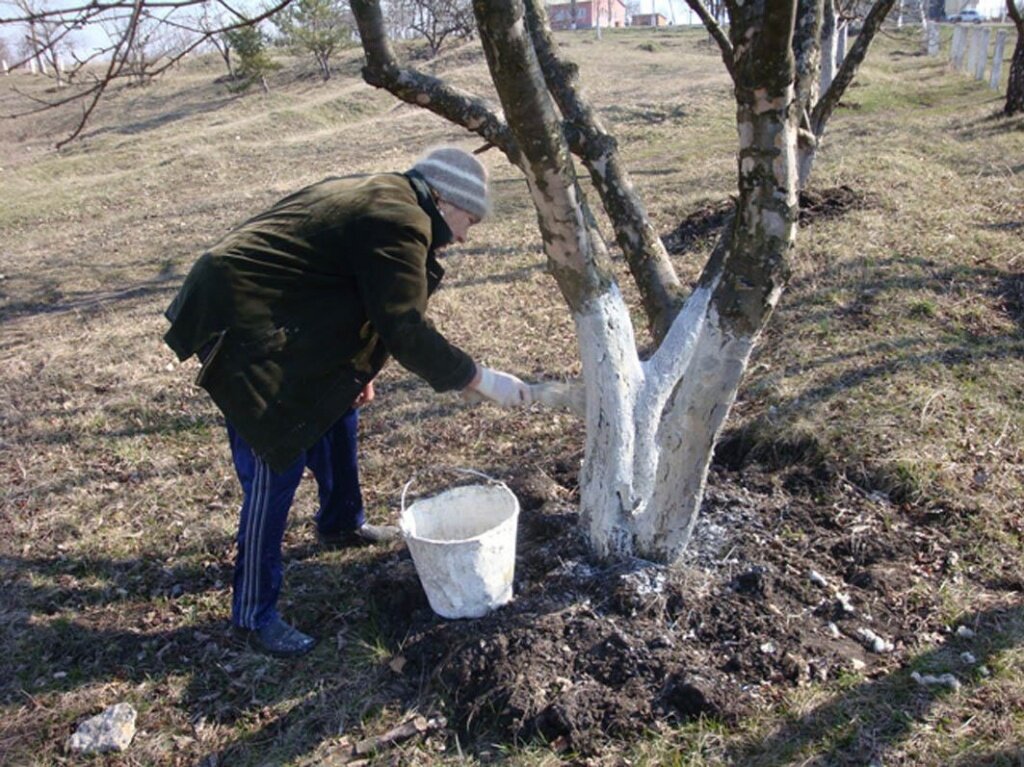 евроремонт от а до я (2)