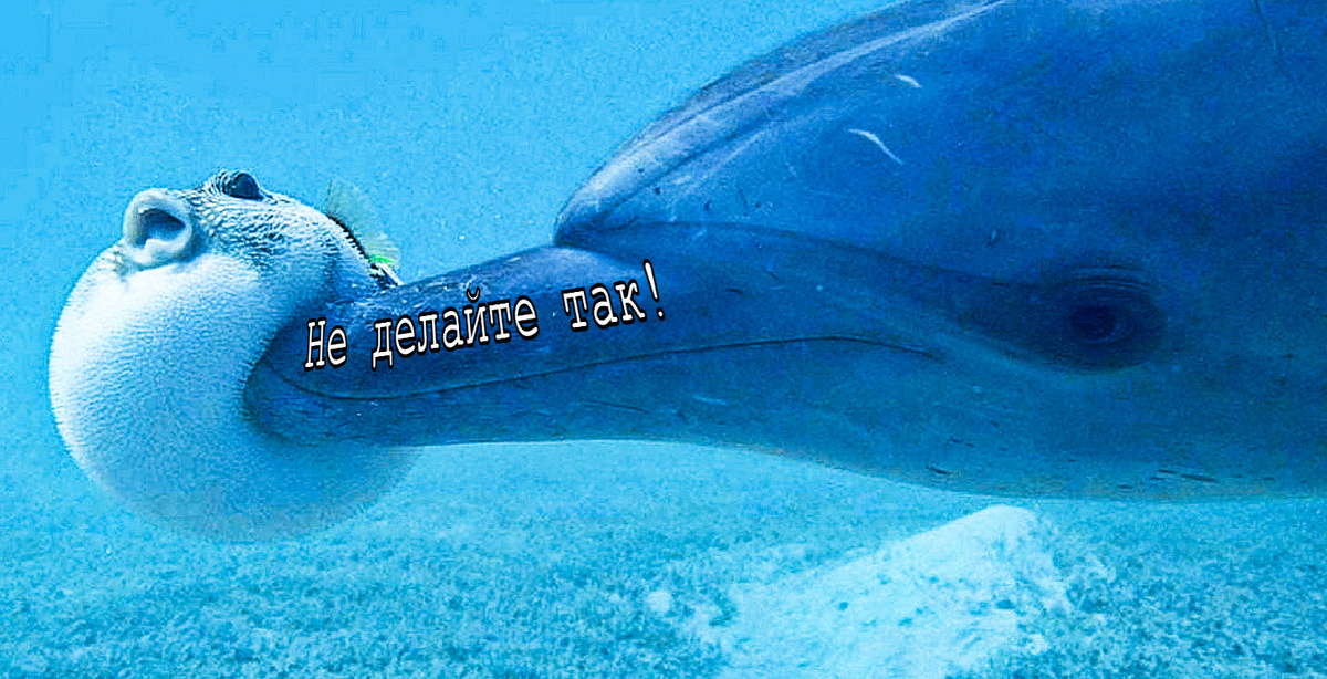 Когда твой друг намного меньше тебя: