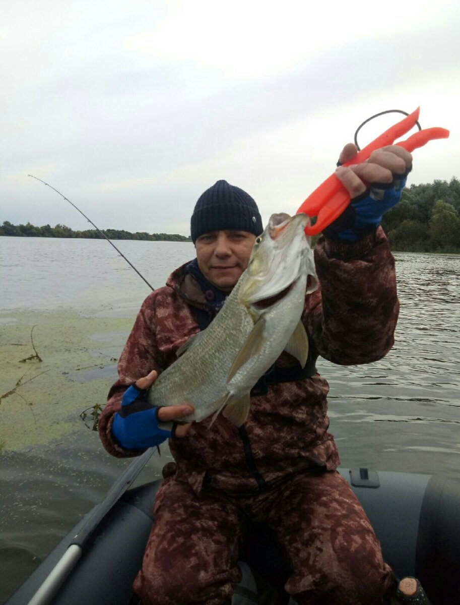 Трофейный жерех на 2.500 был пойман на реке Ока