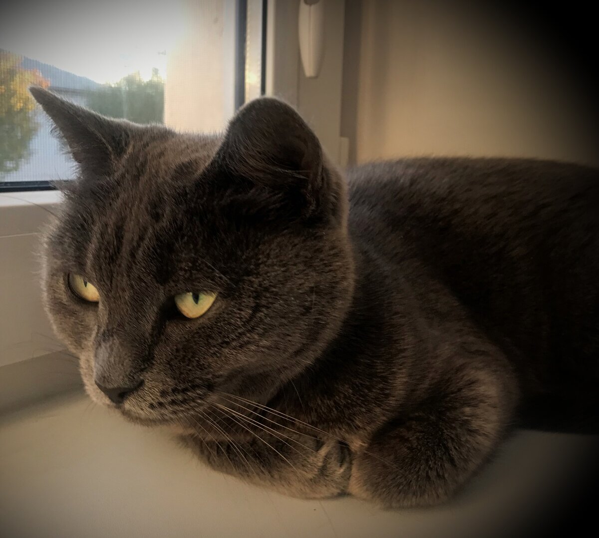 Ну ничего. Память у меня хорошая...