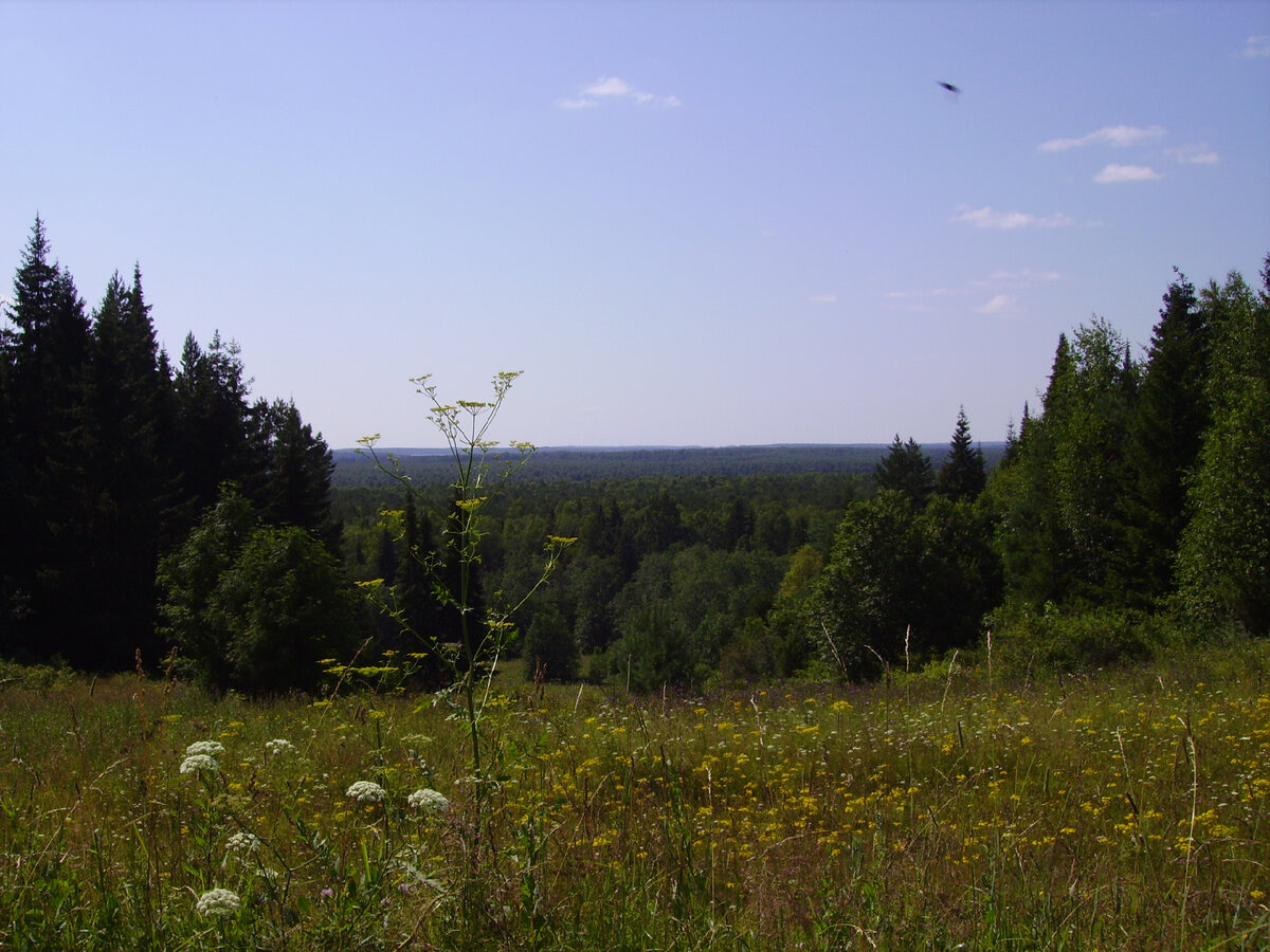 Богородский район Кировская область фото Петухова Дмитрия