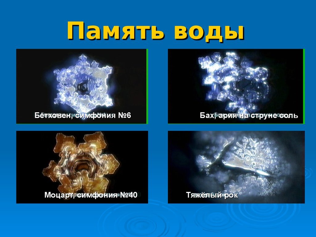 Вода ее память. Вода ее память. Вода обладает памятью. Вода ее память. Вода ее память.