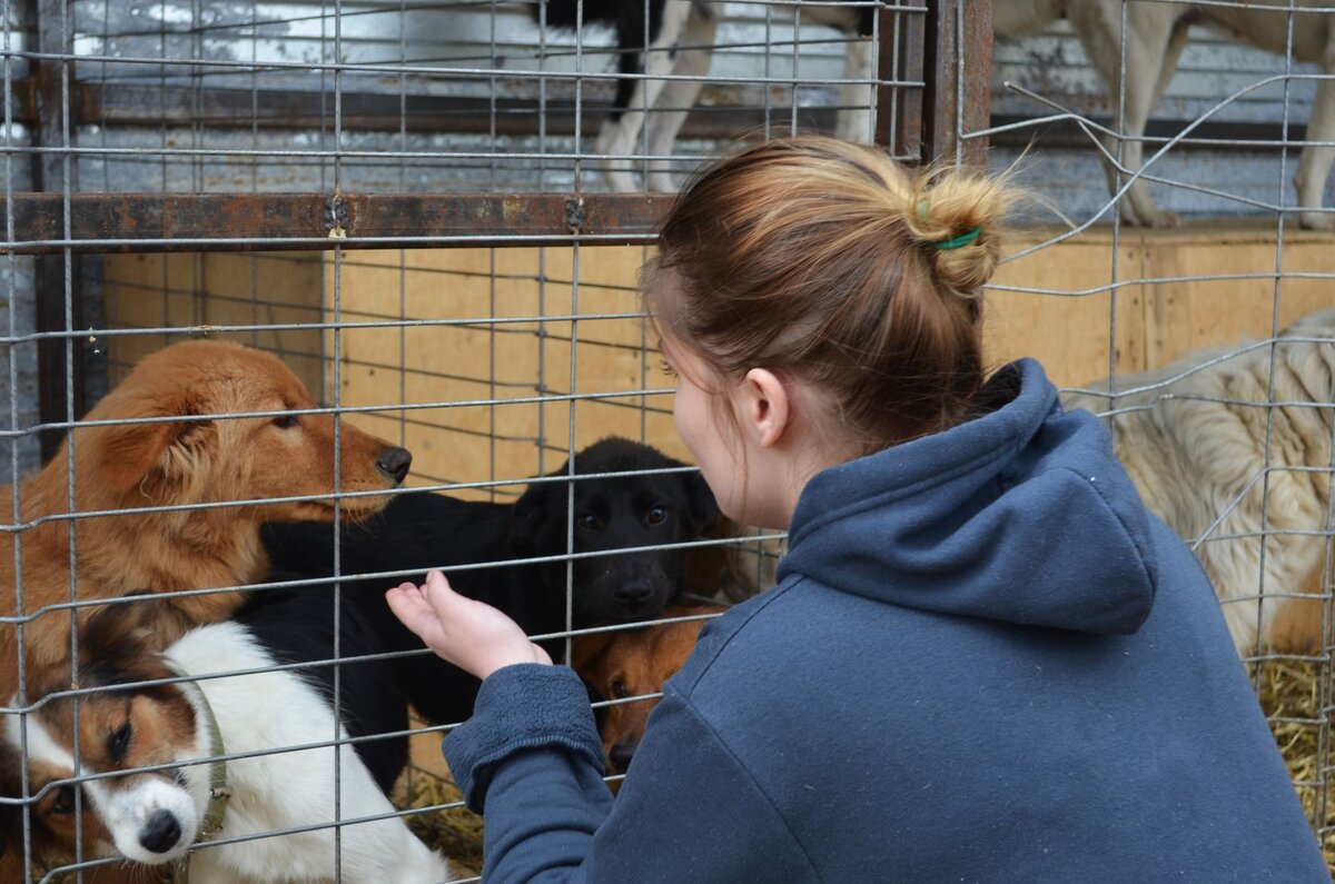 Фото: фонд «Подари жизнь»