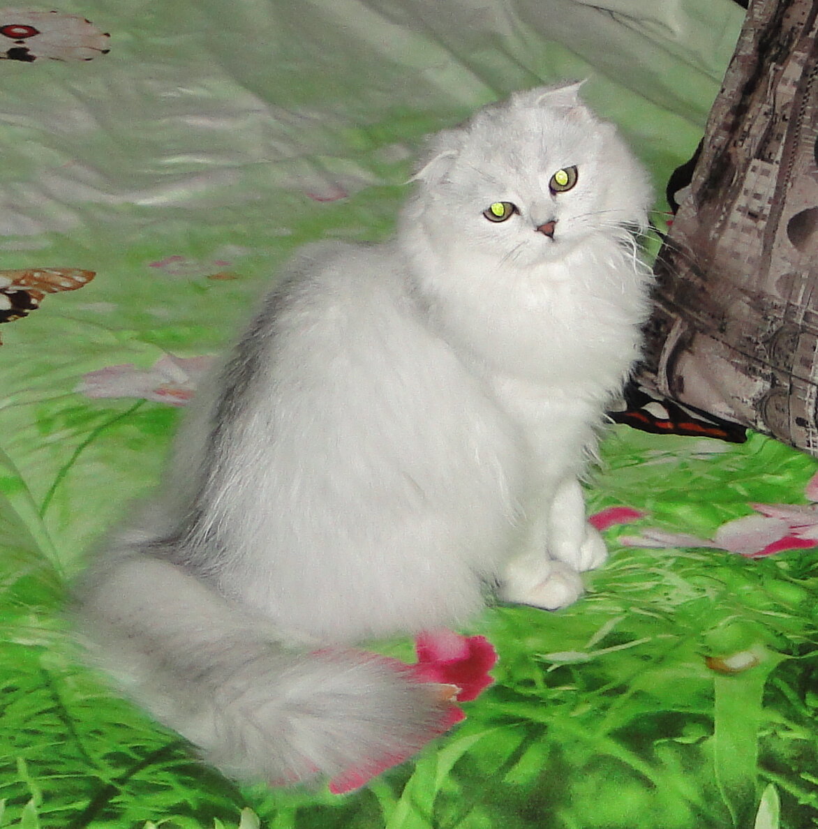 Касуми начало