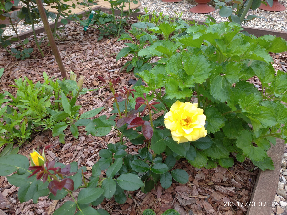 Спаркл энд Шайн.