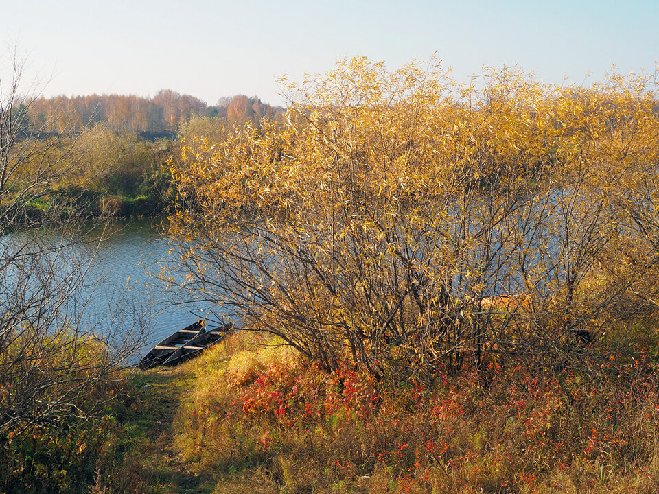 Клязьма рядом с Глушицами.