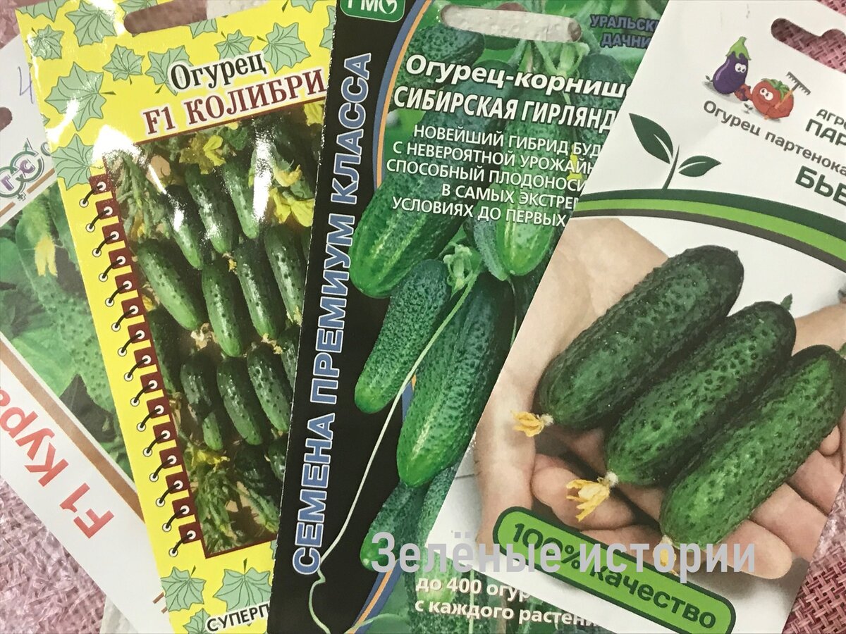  Разнообразие семян поражает воображение