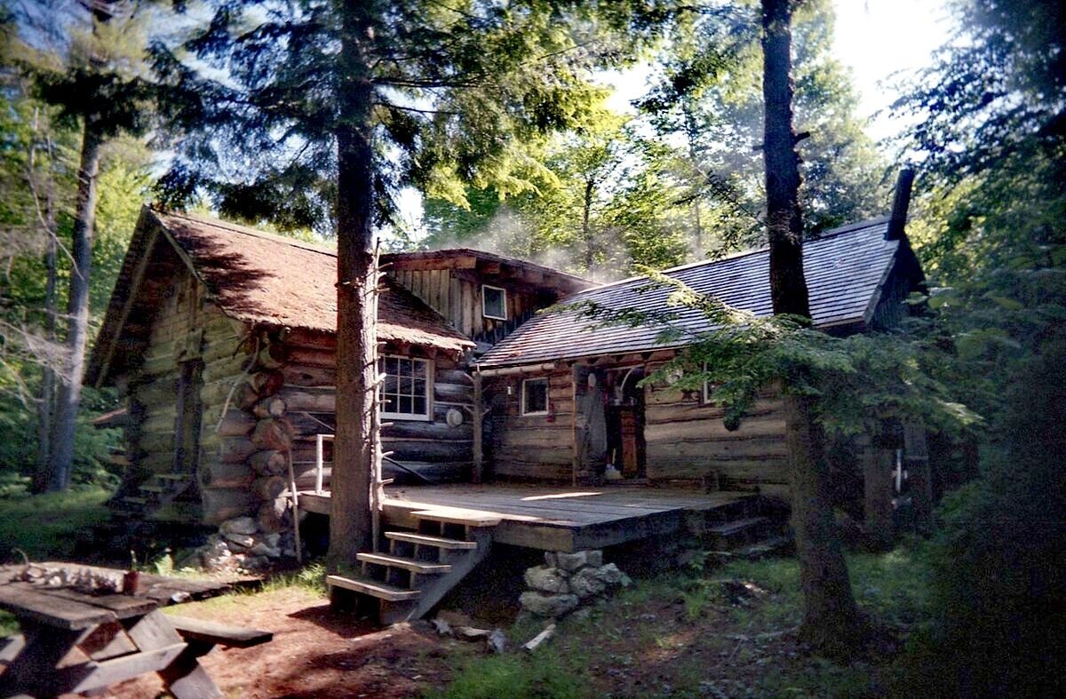 Forest Cabin сруб