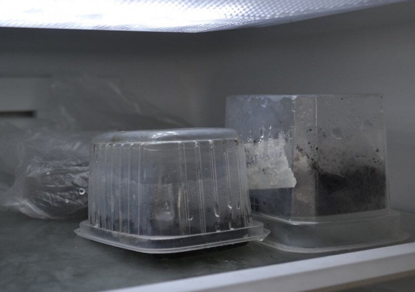 Используем холодильник 