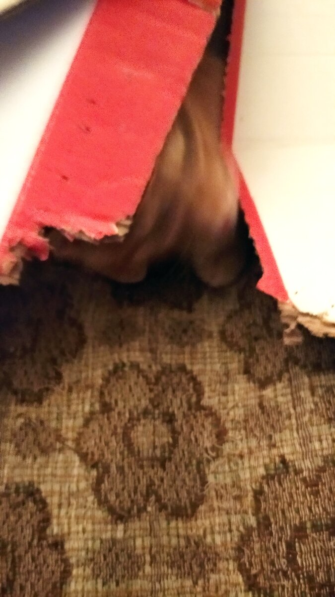 Личное фото.