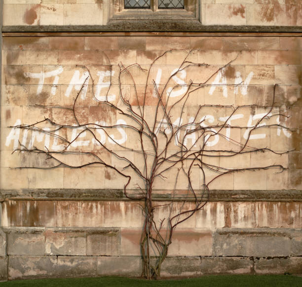 Чем выше ваша вибрация - тем сильнее вы раздражаете других