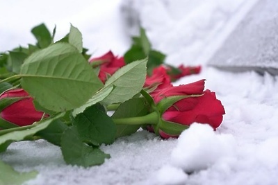    Зимние похороны © Пресс-служба Главного управления региональной безопасности Московской области