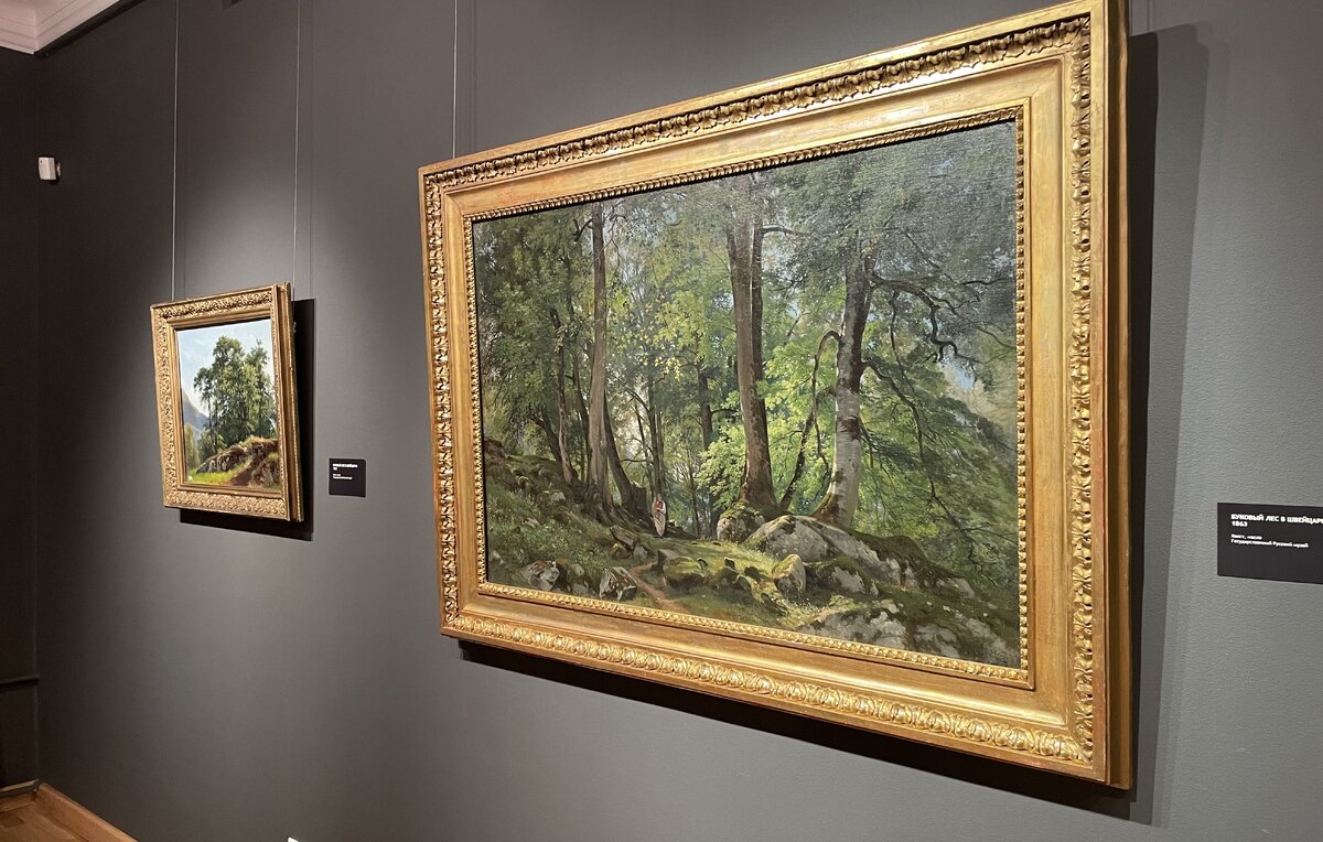 Светлана Сергеева/ТАСС