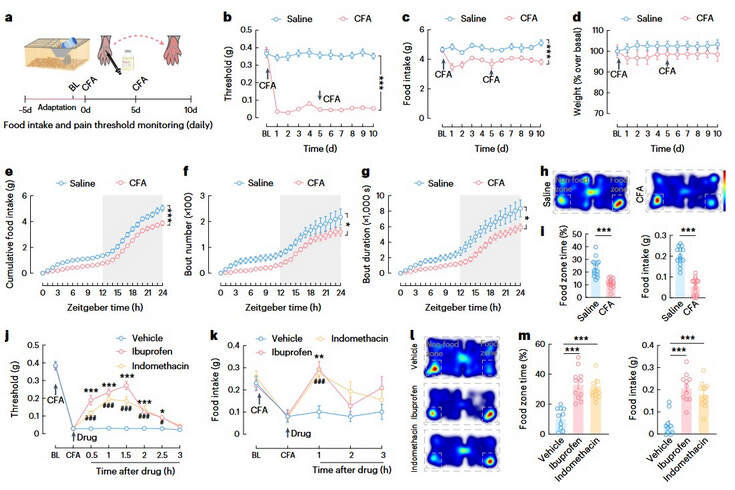   Hao-Di Tang et al. / Nature Metabolism, 2022