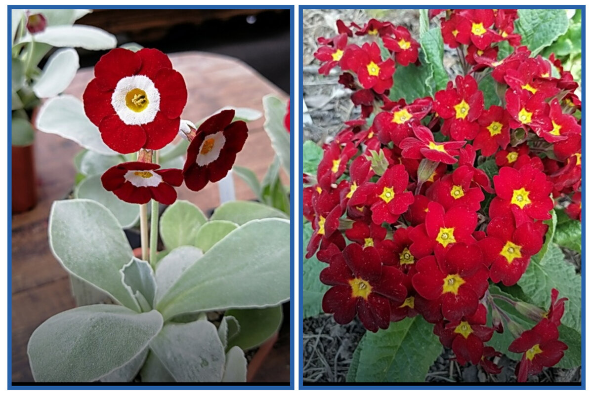 фото Натальи Константиновой