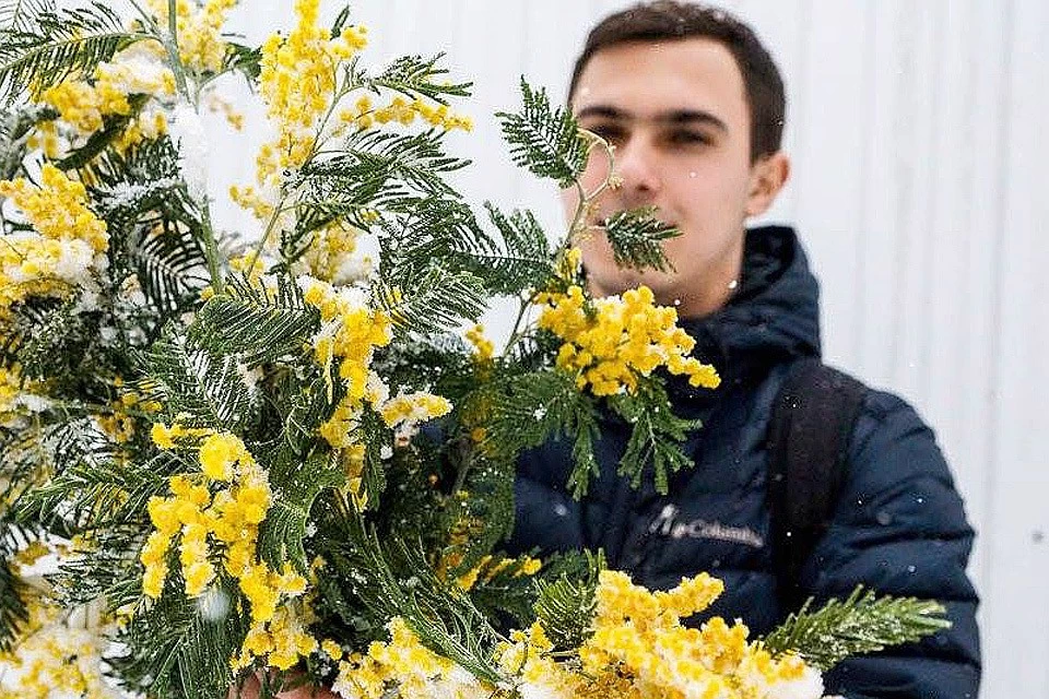Изображение позаимствовано на сайте: https://yandex.ru