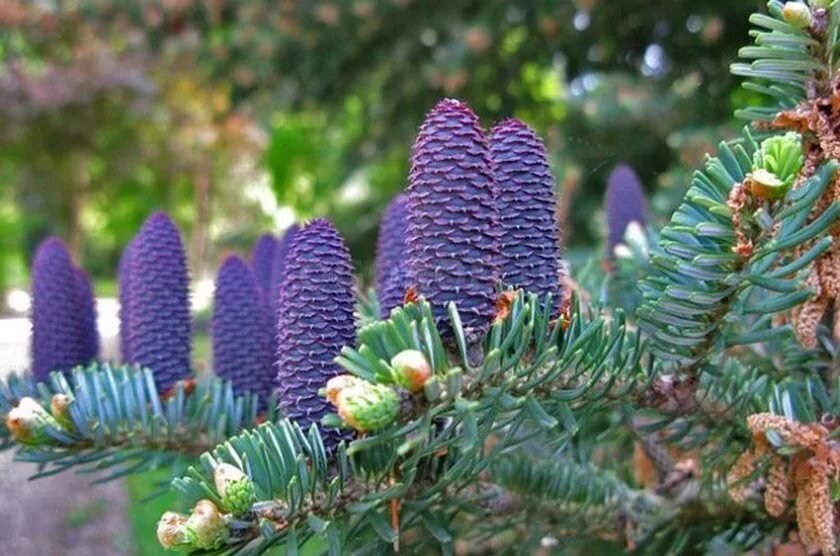 Фото из открытых источников сети Интернет 