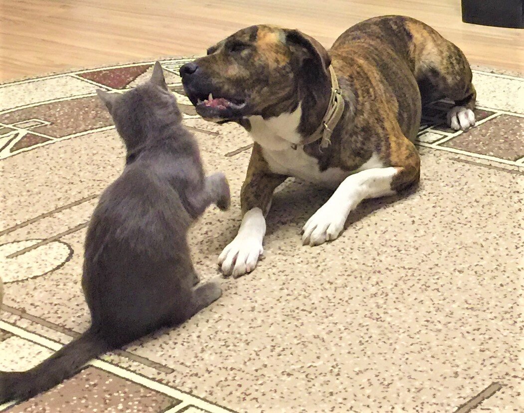 Фото из личного архива.