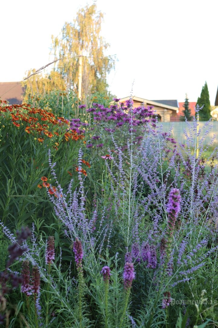 Фотографии можно листать