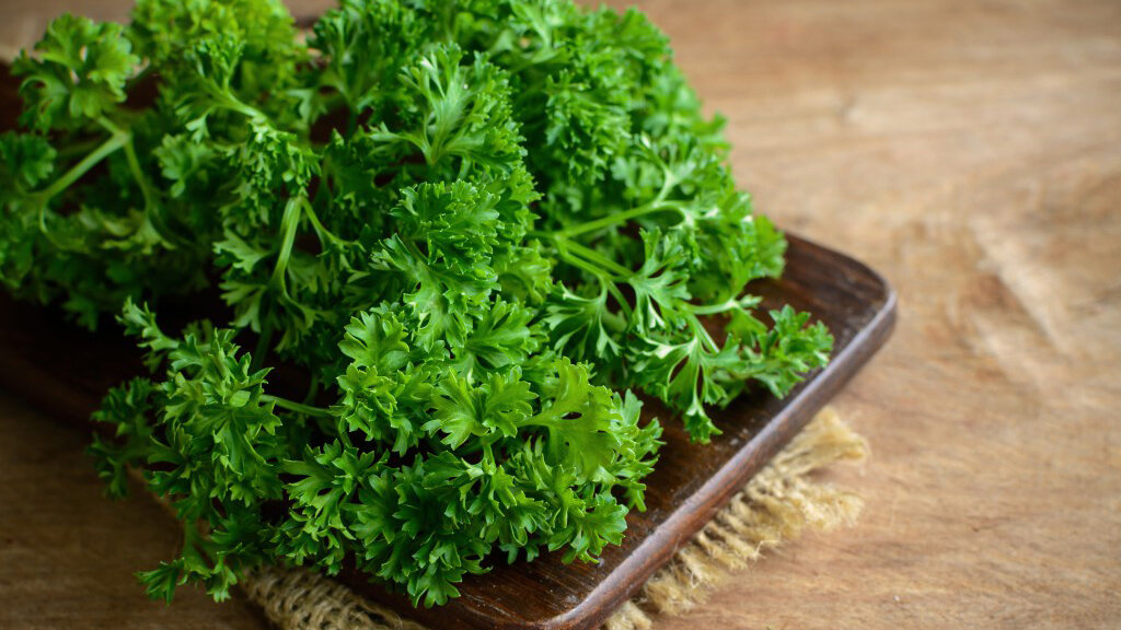 зеленая помощница