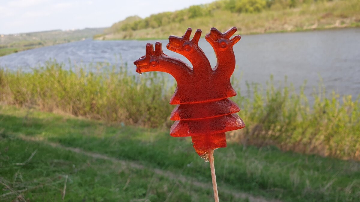 Кудыкина гора особенное дерево