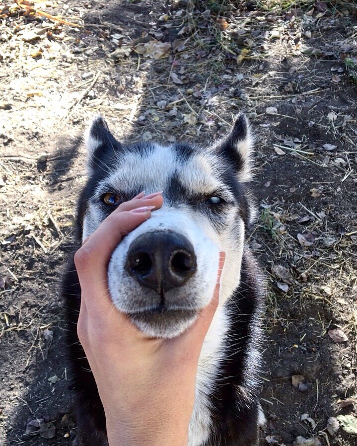 Союз, заключенный на небесах.