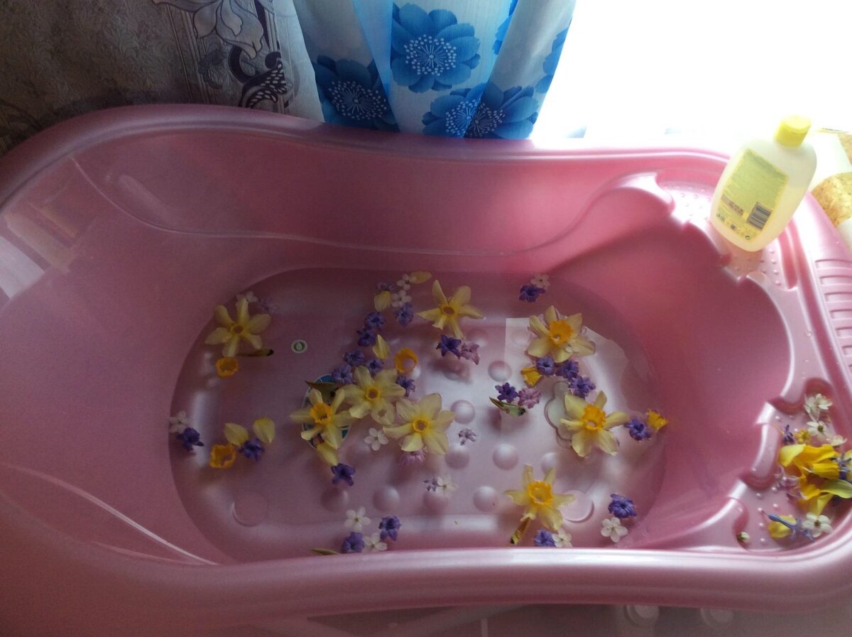 Цветочки из собственного двора