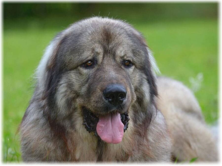 Фото из открытого доступа