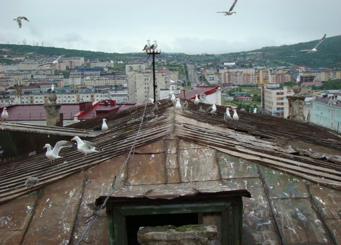 Фото: vesma.today, при такой политике капитально ремонтировать на Колыме будет нечего