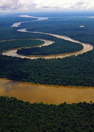 Бразильский карнавал"Отпусти меня, старче". Рыбалка в Амазонии Рио-де-Жанейро — один из самых красивых городов мира!
Притоки Амазонки