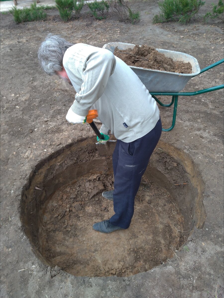 Фото автора