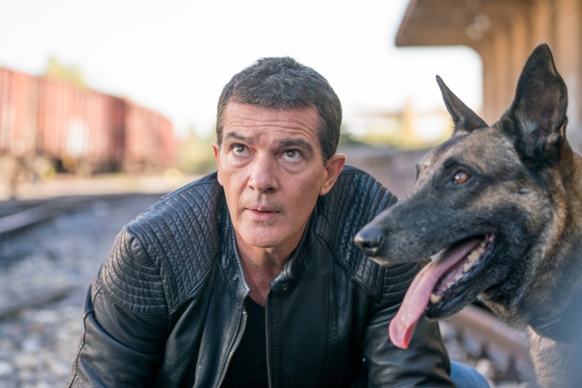 - А знаешь, амиго Бобик, как эти мерзавцы-зрители дразнили меня после второго "Шрека"? "Антошка, Антошка, озвучь скорее кошку!", прикинь.  - Поубивал бы! 