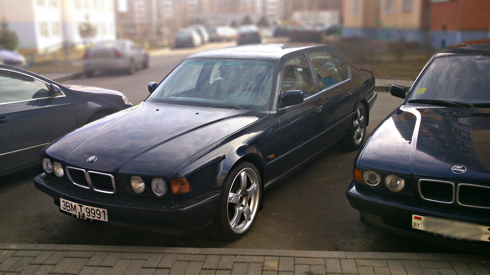 Полный размерМои малышки