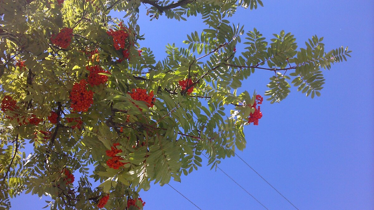 фото из личного архива