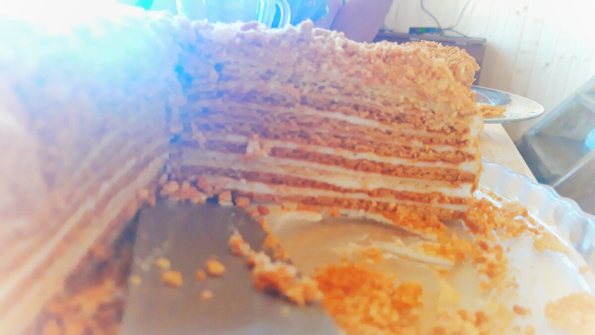 Разрез медовика. Фото автора.