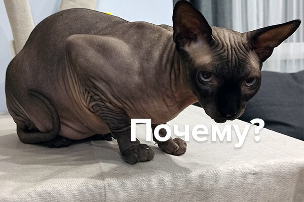 Вас еще преследует вопрос, почему Черномырдин? :)