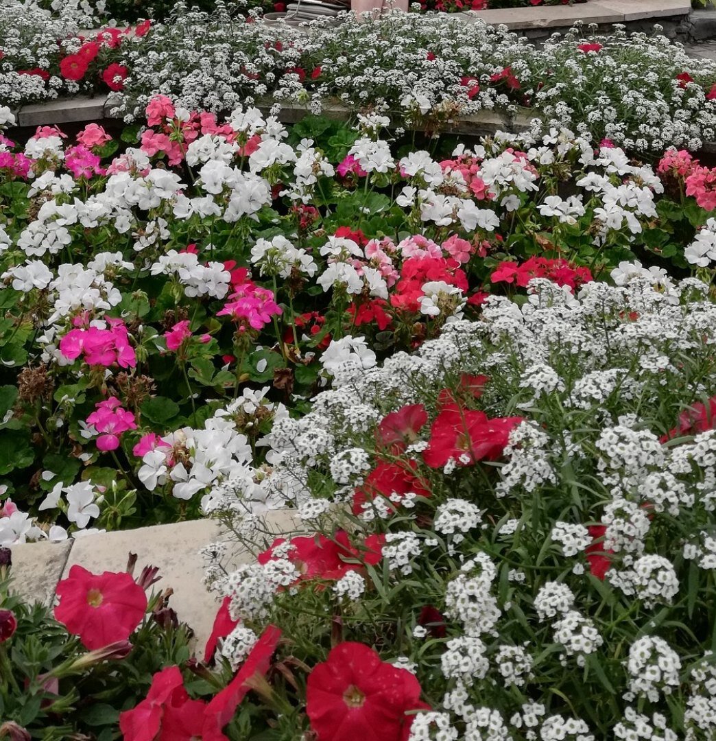 Фото автора. 