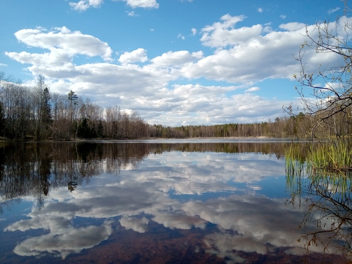 Весна в Карелии