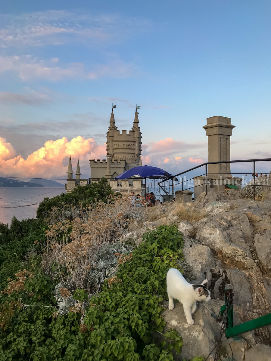 Ласточкино гнездо. Крым. Фото автора.