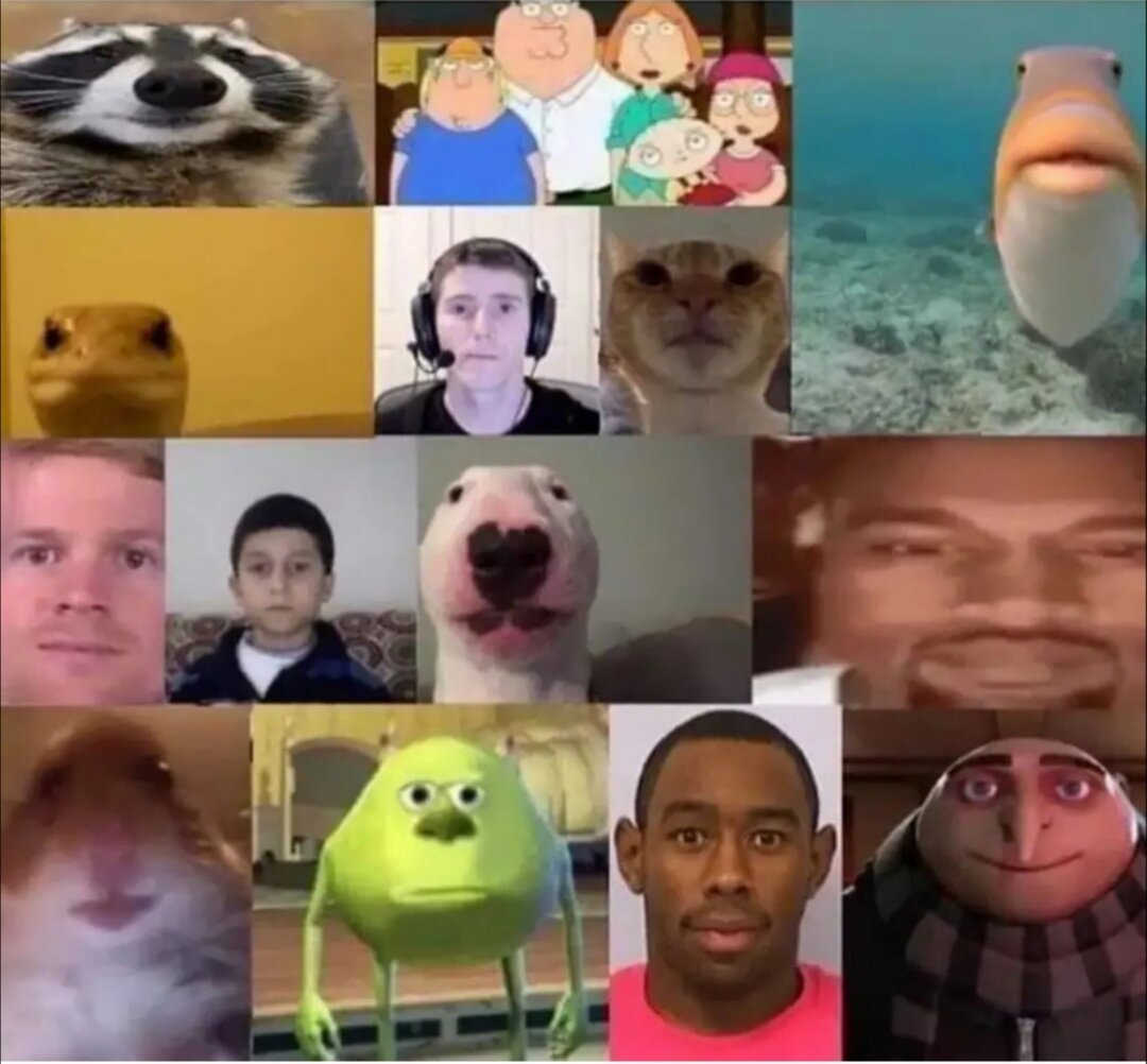 Примерно так выглядела группа