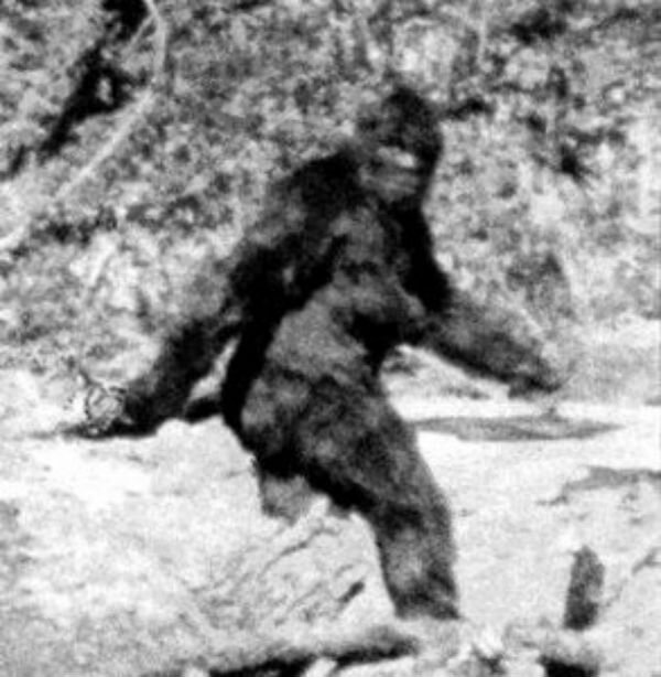 Фото из интернета:  https://go.mail.ru/search_images