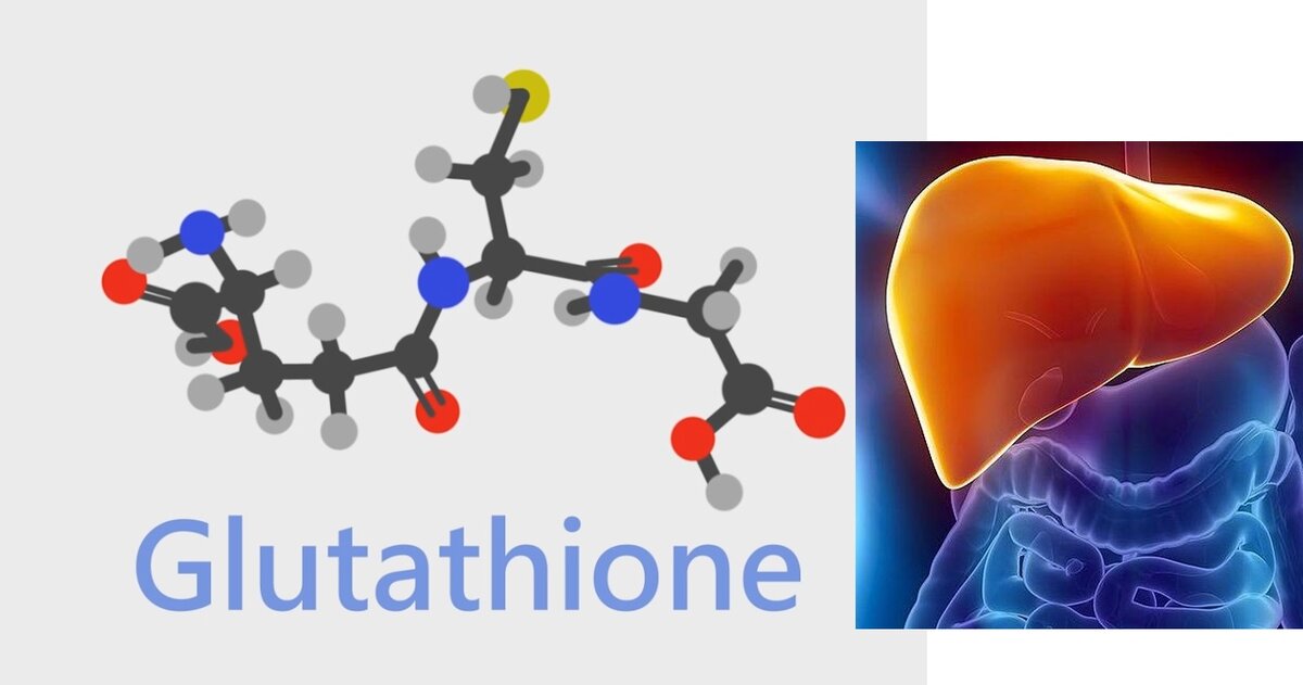Пептид глутатион облегчает работу печени