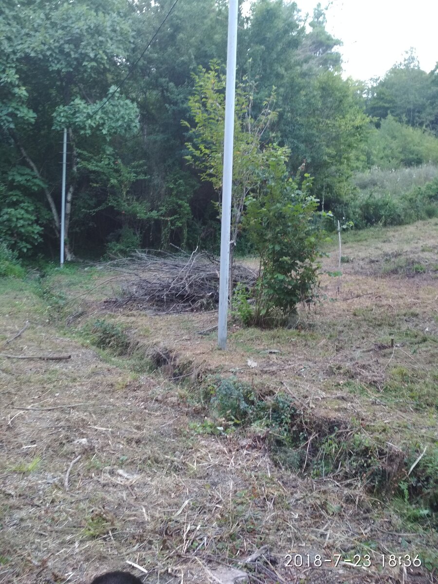 Расчистили