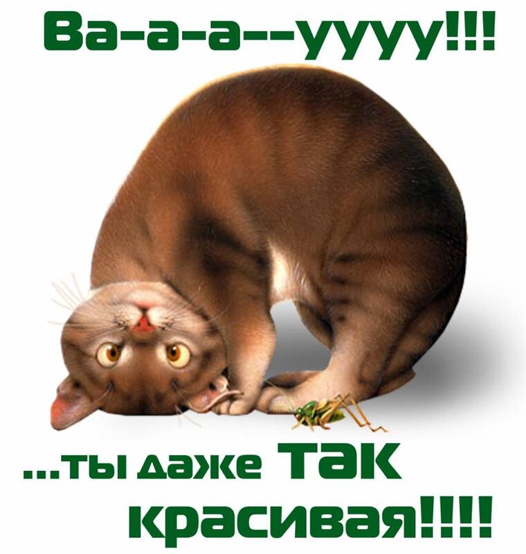 немного юмора:)