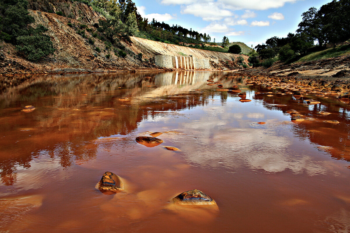 фото rusinn.com