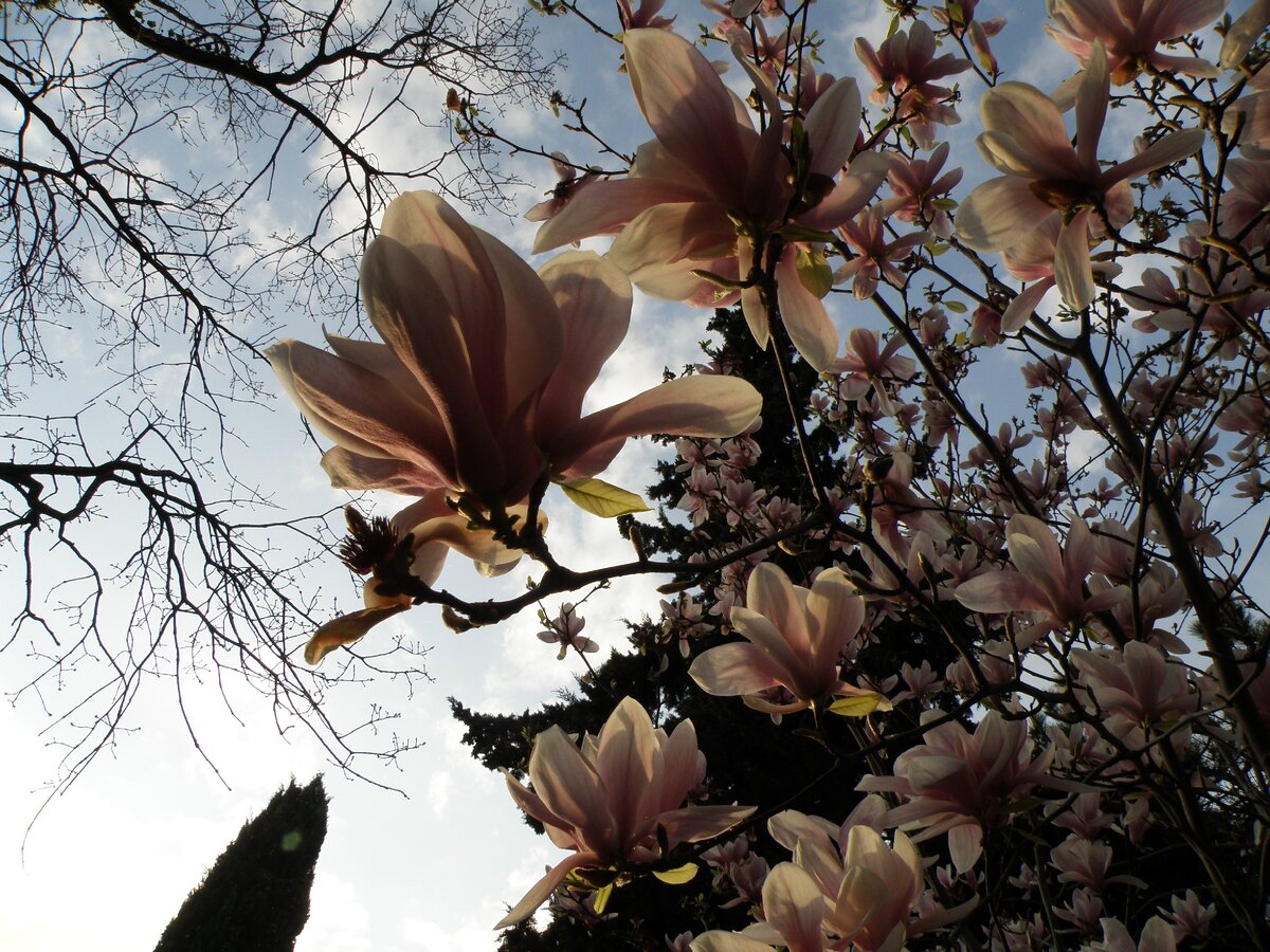 Это Крым, детка.