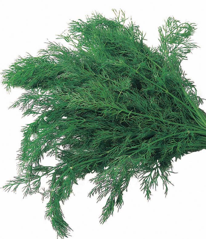                                                                                       Будьте здоровы!