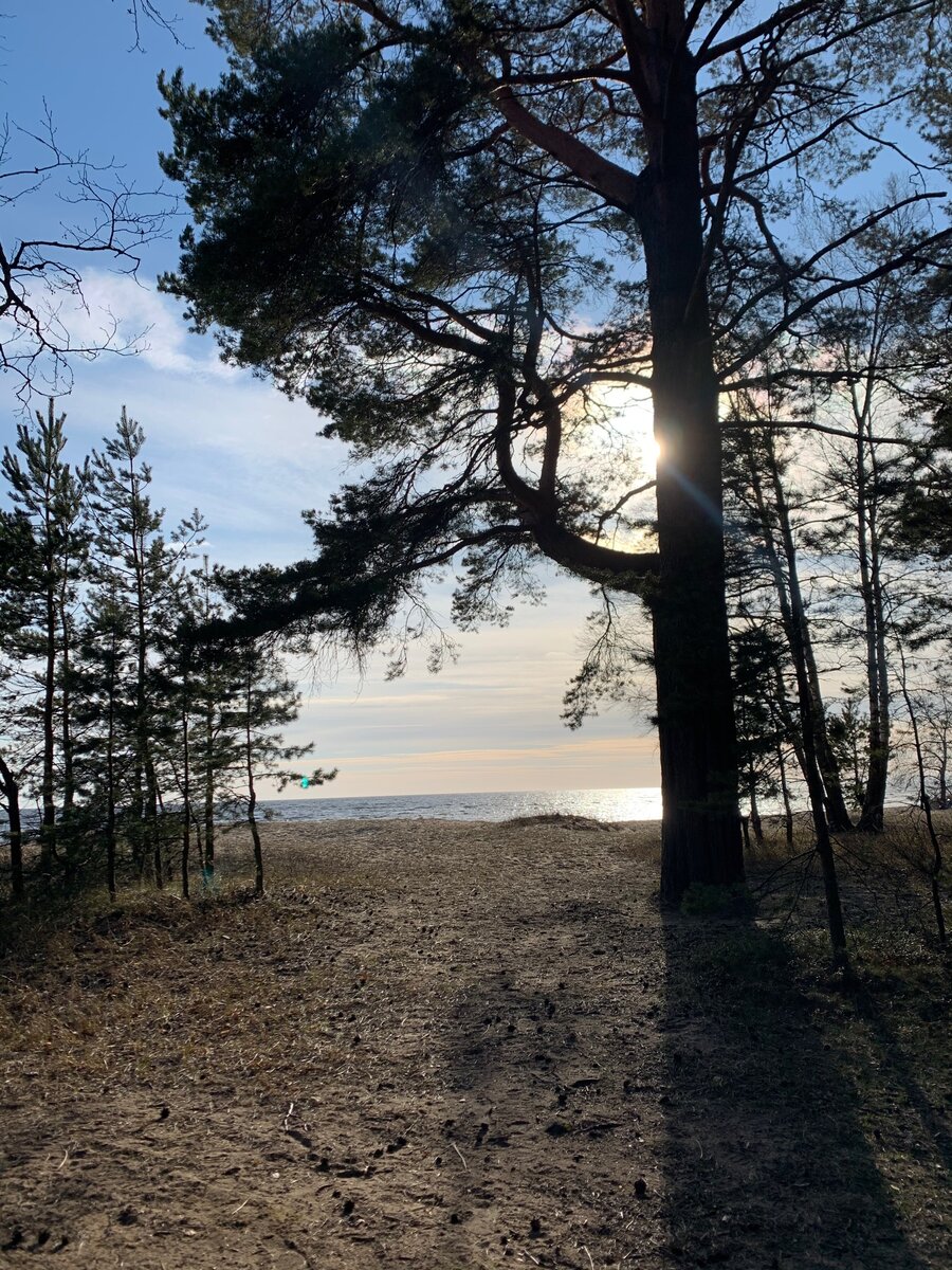 Прогулки на свежем воздухе