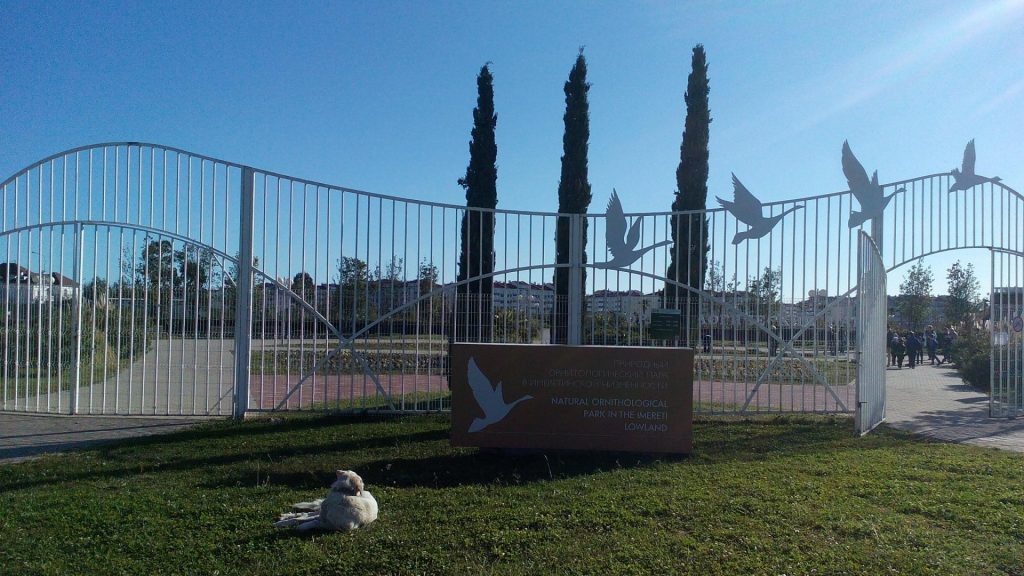 Фото с просторов интернета